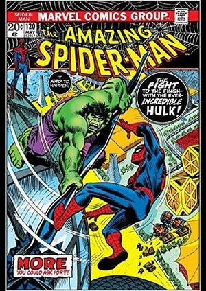 Amazing Spider-Man #120 by Gerry Conway