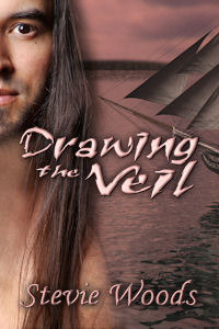 Drawing the Veil by Stevie Woods