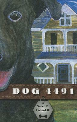 Dog 4491 by Sneed B. Collard III