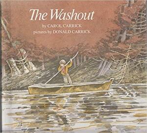 The Washout by Carol Carrick