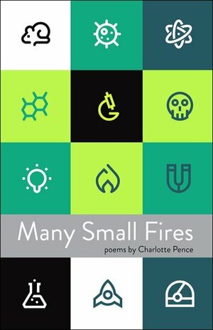 Many Small Fires by Charlotte Pence