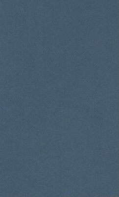 Apocalyptic Islam and Iranian Shi'ism by Abbas Amanat