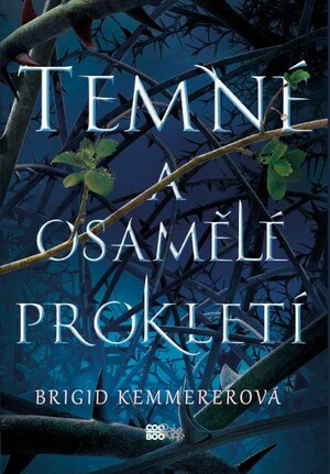 Temné a osamělé prokletí by Brigid Kemmerer