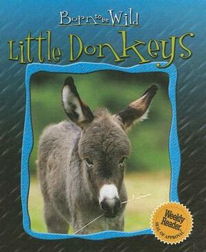 Little Donkeys by Ariane Chottin