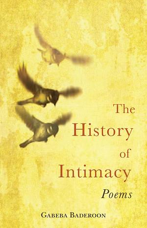The history of intimacy by Gabeba Baderoon