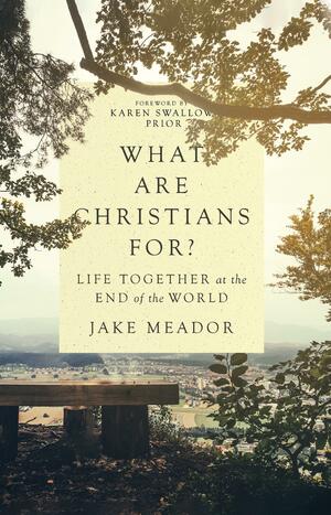 What Are Christians For?: Life Together at the End of the World by Jake Meador