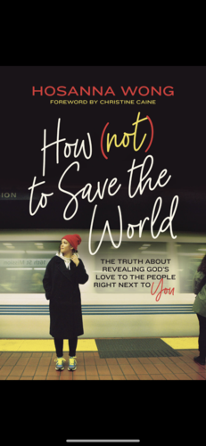 How (Not) to Save the World by Hosanna Wong