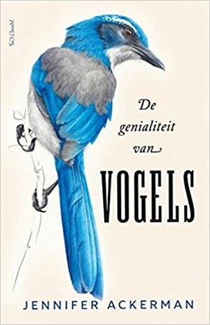 De genialiteit van vogels by Jennifer Ackerman