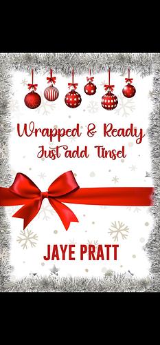 Wrapped and Ready Just Add Tinsel by Jaye Pratt