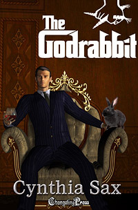 The Godrabbit by Cynthia Sax