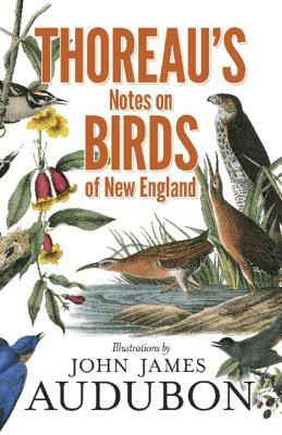 Thoreau's Notes on Birds of New England by Henry David Thoreau