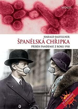 Španělská chřipka: Příběh pandemie z roku 1918 by Harald Salfellner