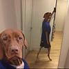 sleeveofsaltines's profile picture