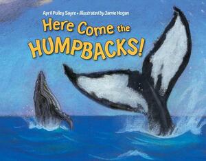 Here Come the Humpbacks! by April Pulley Sayre, April Pulley Sayre