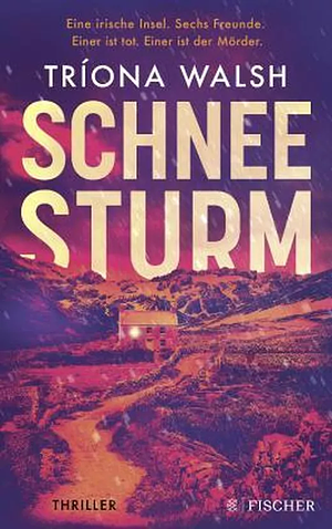 Schneesturm by Triona Walsh