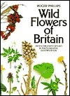Wild Flowers of Britain: Over a Thousand Species by Photographic Identification by Roger Phillips, Sheila Grant