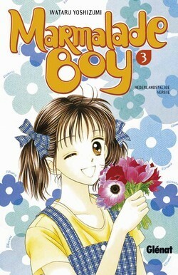 Marmalade Boy, Deel 3 by Wataru Yoshizumi