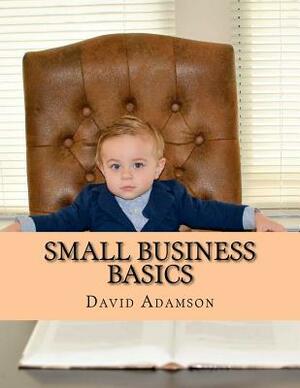 Small Business Basics: Learn The Secrets To Building Up Your Solid Foundation Of Small Business From Scratch & Gain The Key To Your Treasure by David Adamson