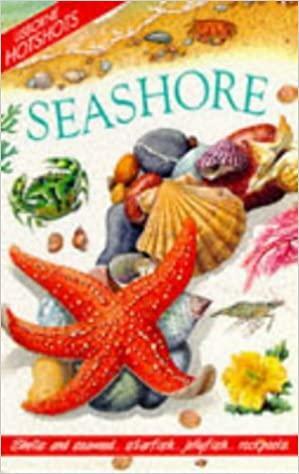 Seashore by Mandy Ross