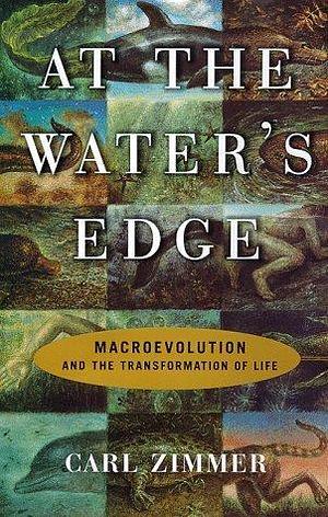 At the Water's Edge : Macroevolution and the Transformation of Life by Carl Zimmer, Carl Zimmer