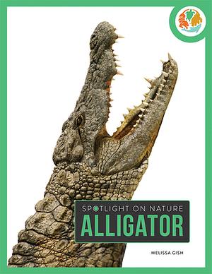 Alligator by Melissa Gish