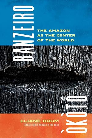 Banzeiro Òkòtó: The Amazon as the Center of the World by Eliane Brum
