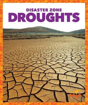 Droughts by Cari Meister