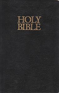 The Holy Bible: Gospel of Matthew by Anonymous