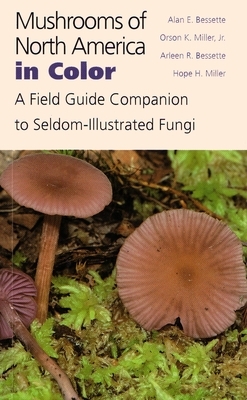 Mushrooms of North America in Color: A Field Guide Companion to Seldom-Illustrated Fungi by Arleen Bessette, Orson Miller, Alan Bessette