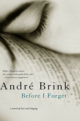 Before I Forget by André Brink