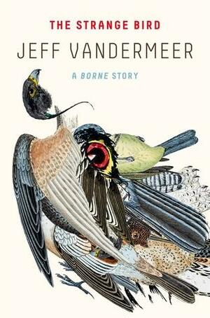 The Strange Bird: A Borne Story by Jeff VanderMeer