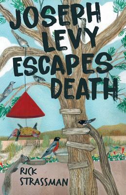 Joseph Levy Escapes Death by Rick Strassman