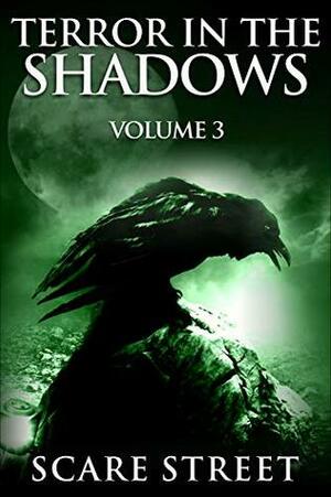 Terror in the Shadows: Volume 3 by Sara Clancy, David Longhorn, Sharon M. White, Ron Ripley, Scare Street, Arwa Hezzah, A.I. Nasser, Julia Grace