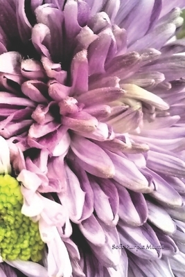 Juornal: Soft Purple Mums by Charlotte Raby