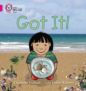 Got It! by Charlotte Guillain