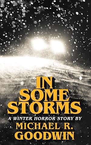 In Some Storms by Michael R. Goodwin