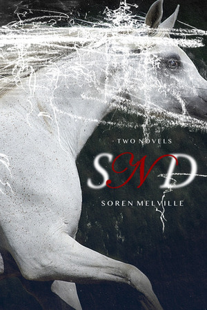 S/N/D by Soren Melville
