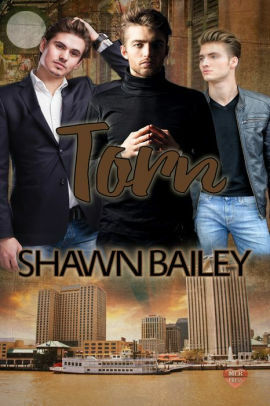 Torn by Shawn Bailey