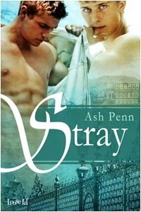 Stray by Ash Penn