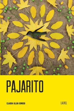 Pajarito by Claudia Ulloa Donoso