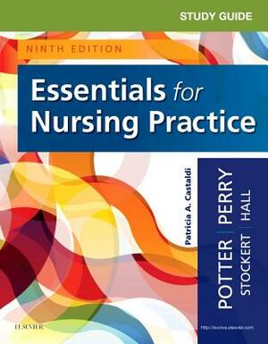 Study Guide for Essentials for Nursing Practice by Anne Griffin Perry, Patricia Stockert, Patricia A. Potter