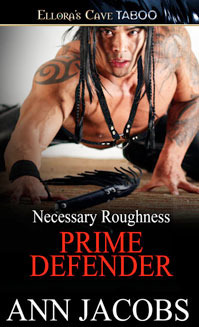 Prime Defender by Ann Jacobs