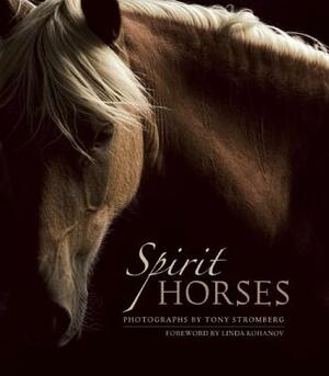 Spirit Horses by 
