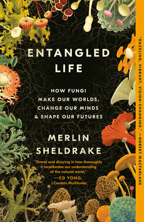 Entangled Life: How Fungi Make Our Worlds, Change Our Minds & Shape Our Futures by Merlin Sheldrake