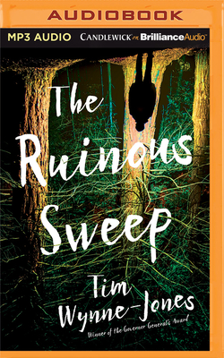 The Ruinous Sweep by Tim Wynne-Jones