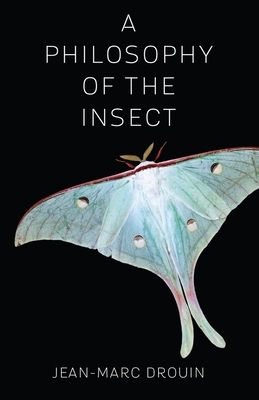 A Philosophy of the Insect by Jean-Marc Drouin