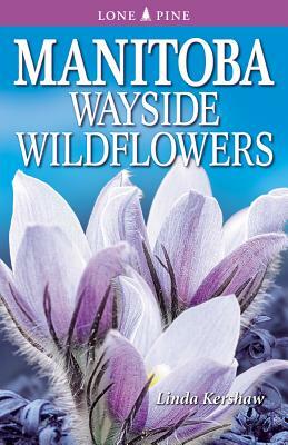 Manitoba Wayside Wildflowers by Linda Kershaw
