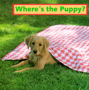 Where's the Puppy? by Cheryl Christian