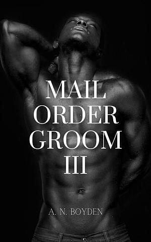 Mail Order Groom III by A. N. Boyden, A. N. Boyden