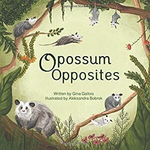 Opossum Opposites by Aleksandra Bobrek, Gina Gallois